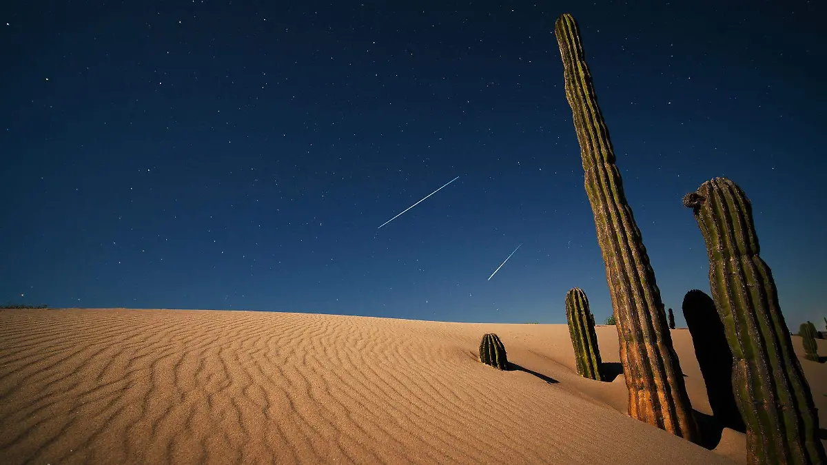 desierto sonorense